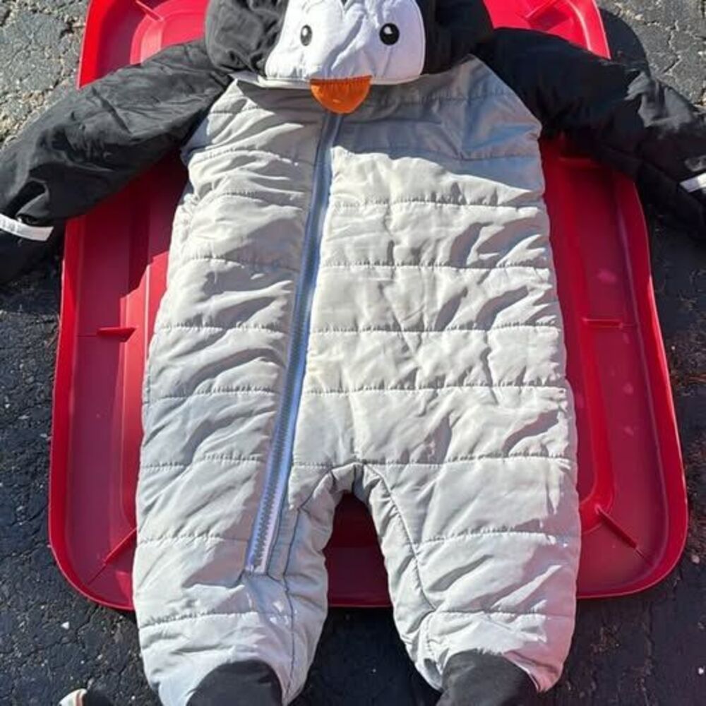 Penguin Infant Snowsuit 3-6 month